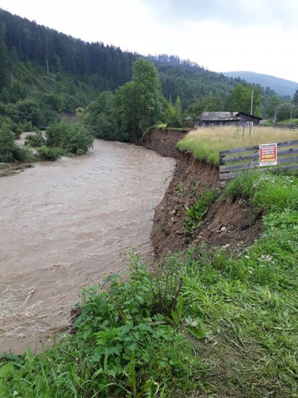 Râul Suceava la Brodina