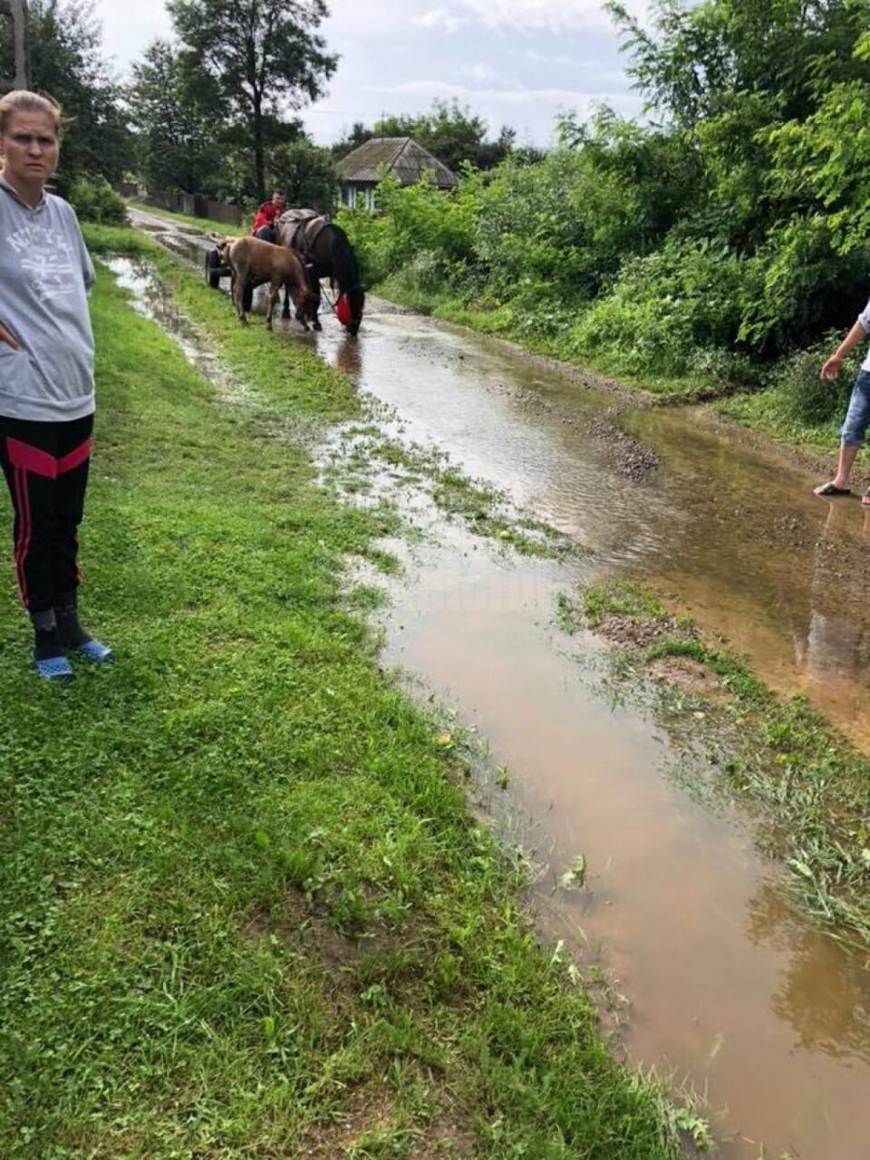 Drumurile din Dolhasca, afectate de precipitațiile abundente căzute în ultima perioadă 2