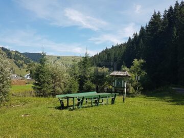 Intrarea în Codrii Seculari Slătioara
