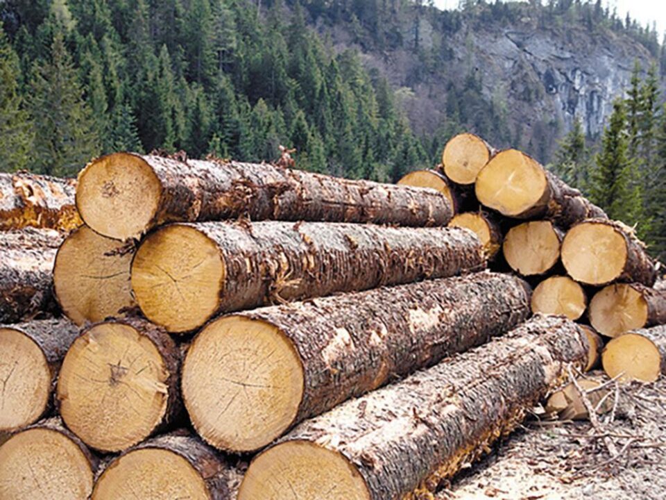 Controalele au vizat agenții economici din domeniul lemnului Foto www.revistamobila.ro