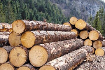 Controalele au vizat agenții economici din domeniul lemnului Foto www.revistamobila.ro