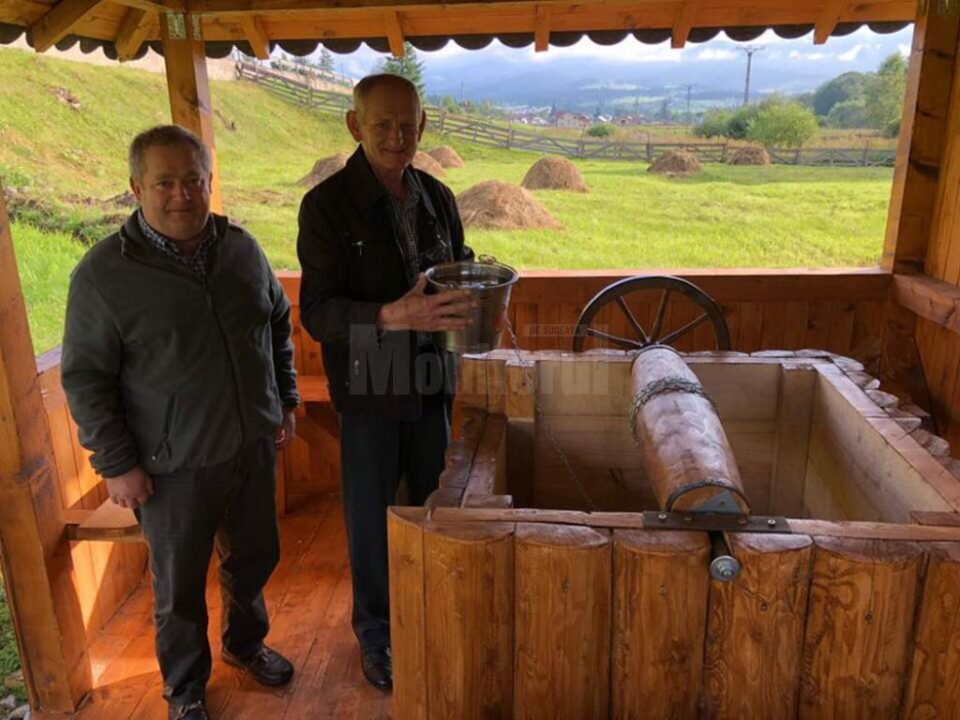 Patru izvoare minerale au fost curățate și reabilitate de silvicultori