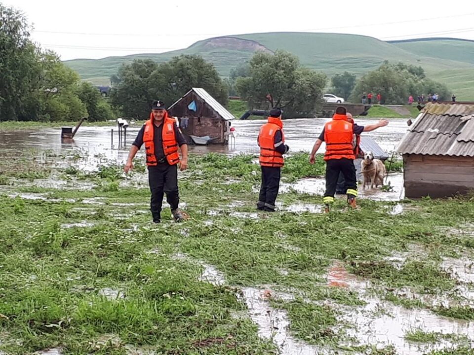 A fost nevoie de intervenția pompierilor, pentru ca ciobanul să poată fi scos dintre apele crescute