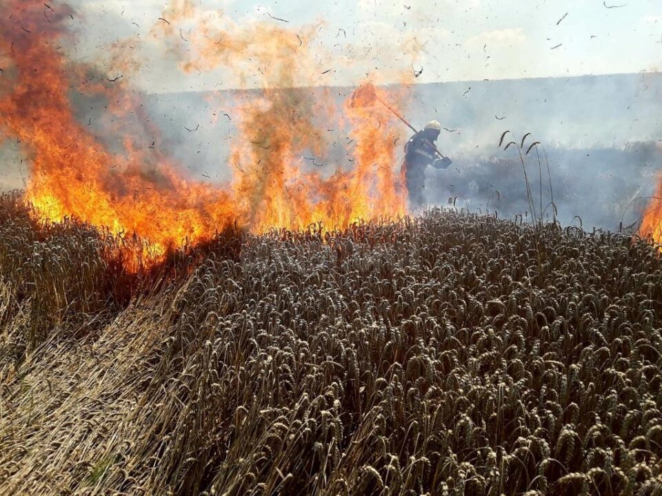 Incendiu lan grau3