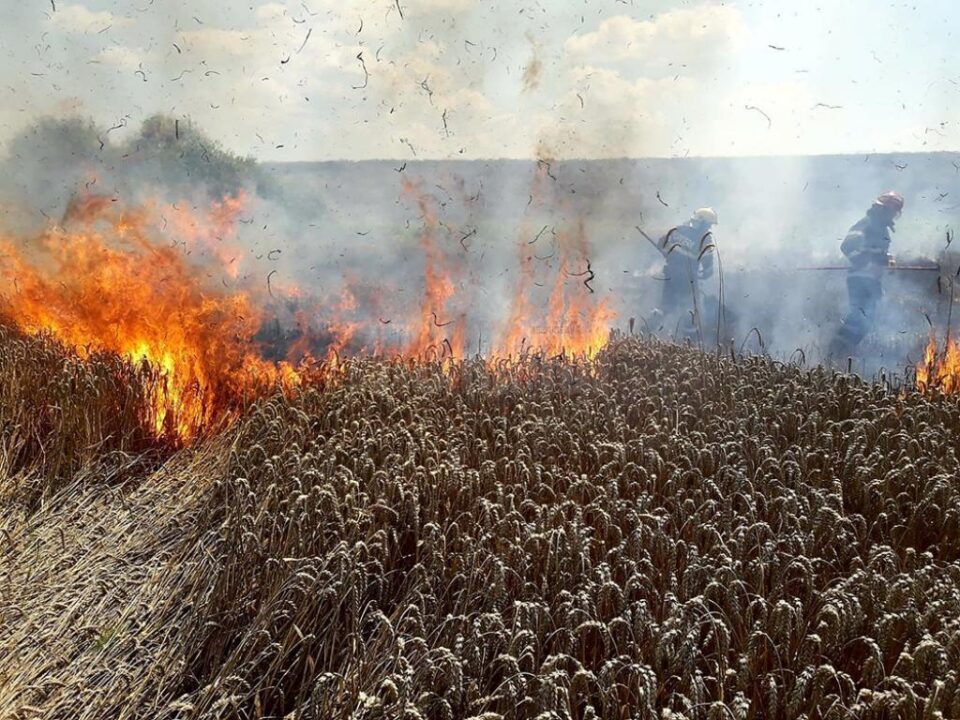 O combină care treiera grâu a provocat un puternic incendiu în lanul de cereale