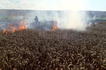 O combină care treiera grâu a provocat un puternic incendiu în lanul de cereale