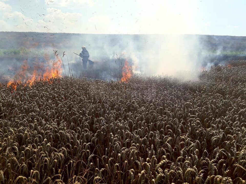 O combină care treiera grâu a provocat un puternic incendiu în lanul de cereale