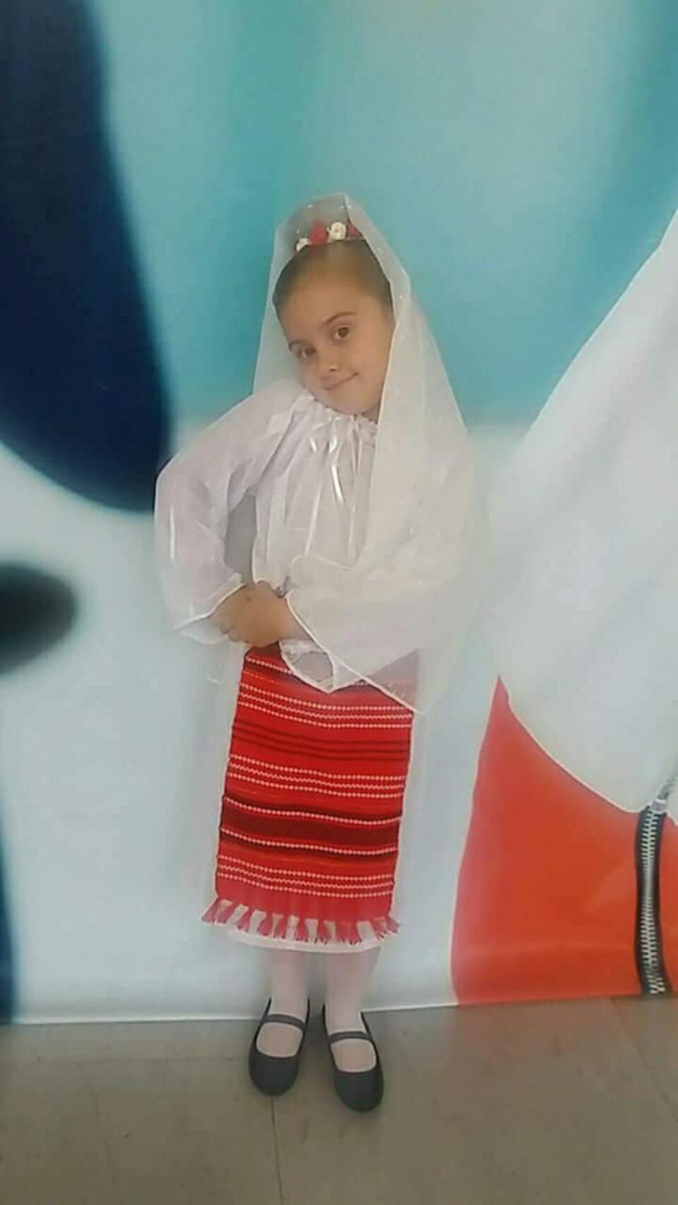 Semean Elena, 6ani