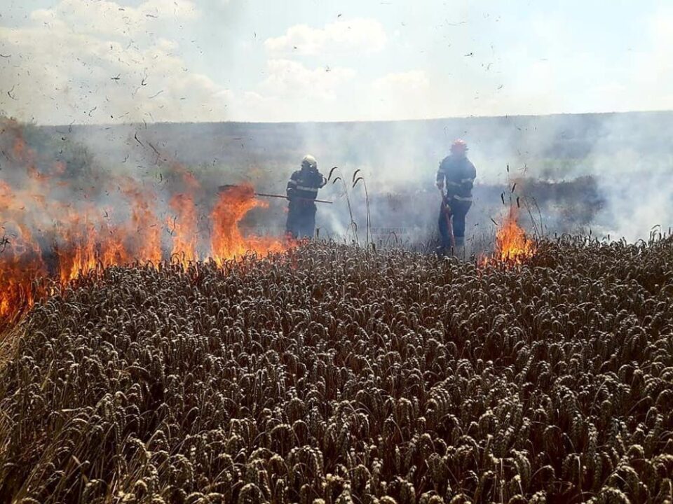 O combină care treiera grâu a provocat un puternic incendiu în lanul de cereale