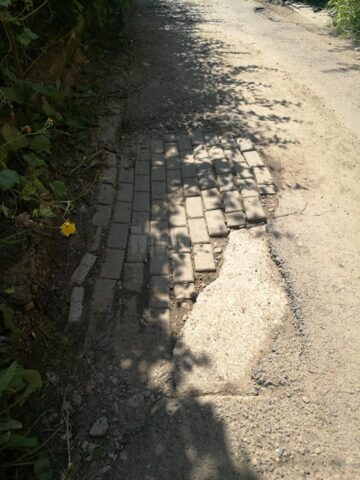 Gropile de pe strada Leca Morariu