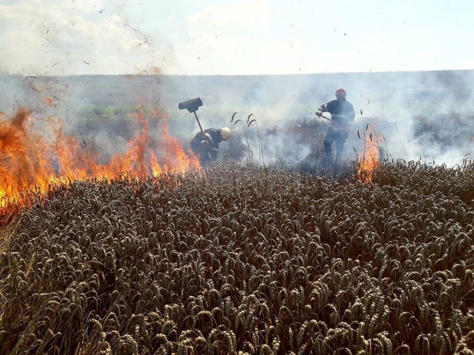 O combină care treiera grâu a provocat un puternic incendiu în lanul de cereale