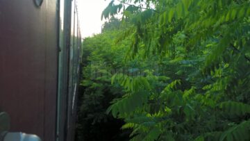 CFR, adevăratele Căi Ferate ale Rușinii