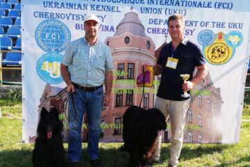Cristian Domițian Moroșanu și Mircea Petrariu, cu cei doi câini campioni la juniori în România și Ucraina