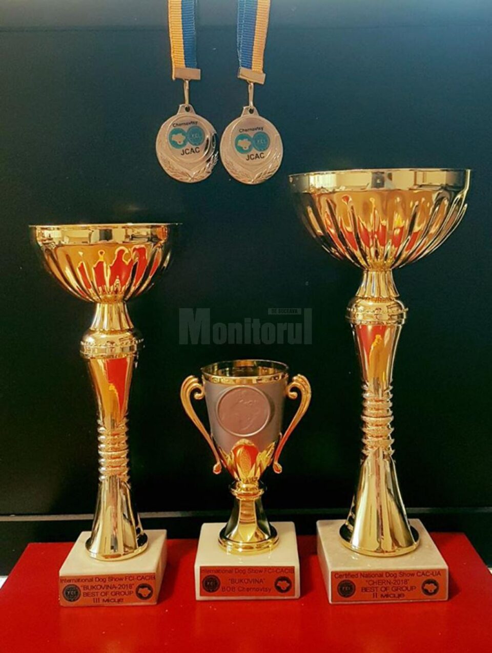 Doi câini de rasă din Suceava au devenit campioni de juniori ai Ucrainei