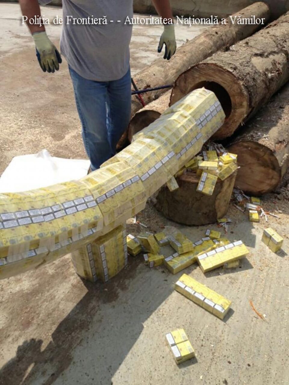 Ascunse în interiorul a 39 de bușteni, au fost găsite 106.432 pachete de țigări marca Jin Ling, cu timbru Ucraina