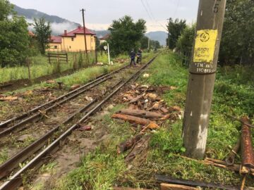 Ploile torentiale au creat probleme în județ miercuri după amiază