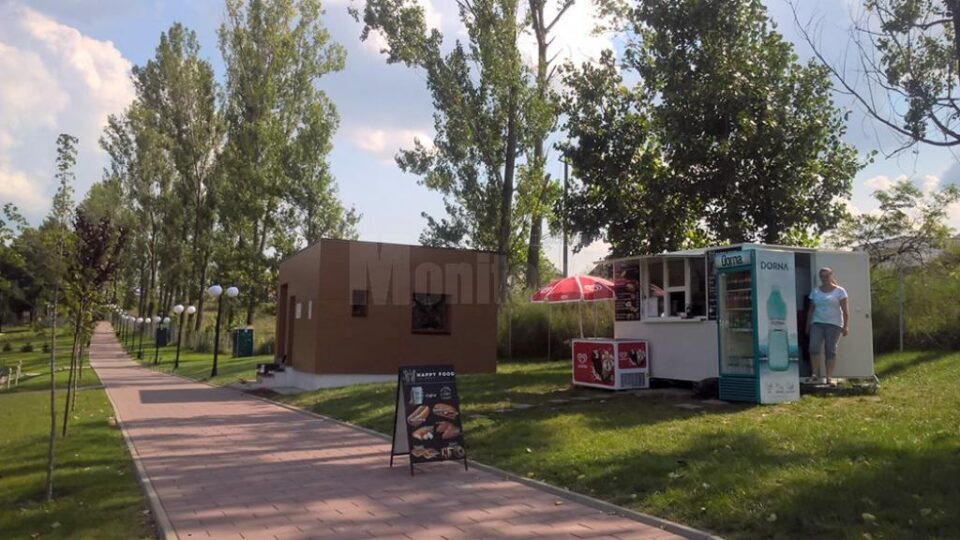 Toneta tânărului Ciutac, din parcul Tătărași