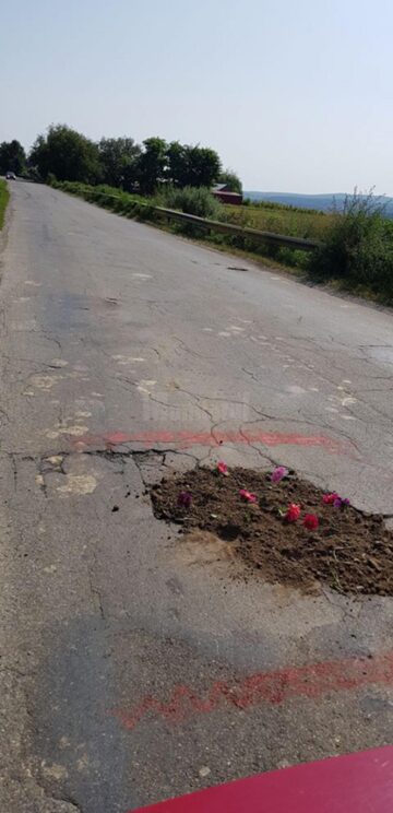 Locuitorii din Budeni - Dolhasca au plantat flori în gropile de pe drumul județean care face legătura cu Suceava