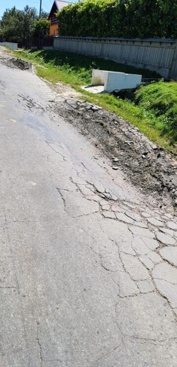 Locuitorii din Budeni - Dolhasca au plantat flori în gropile de pe drumul județean care face legătura cu Suceava
