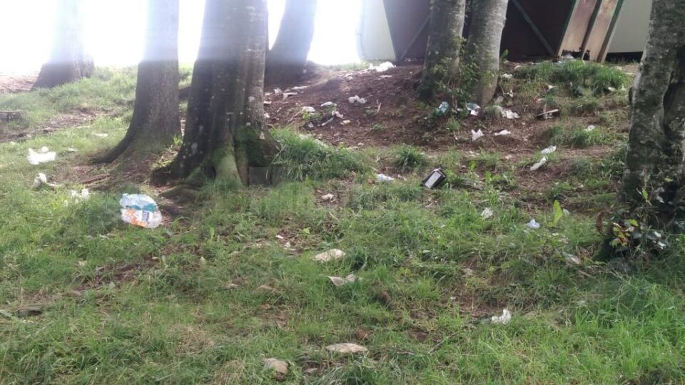 Zona inainte de ecologizare