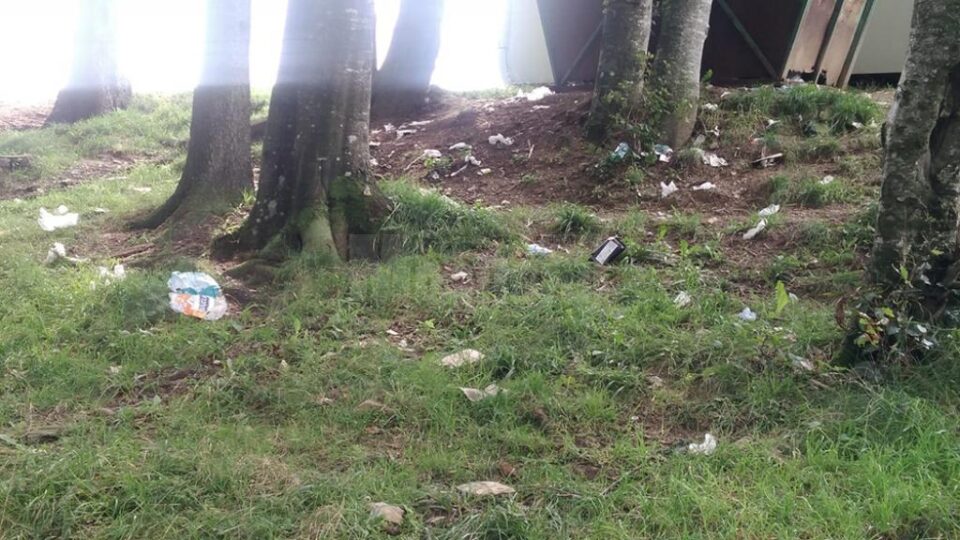 Refugiați cazați la centrul din Rădăuți, în acțiune de ecologizare la Palma