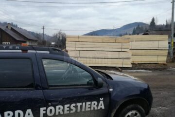 Peste două sute de controale care au vizat activitatea de pază a pădurii sau activitatea de recoltare, prelucrare și transport a materialelor lemnoase