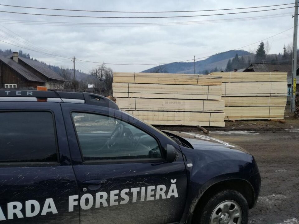 Peste două sute de controale care au vizat activitatea de pază a pădurii sau activitatea de recoltare, prelucrare și transport a materialelor lemnoase Peste două sute de controale care au vizat activitatea de pază a pădurii sau activitatea de recoltare, prelucrare și transport a materialelor lemnoase