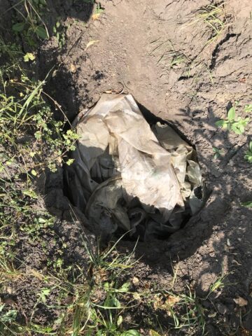 Cimitirul inocenților, cu sutele de victime ale „Orfelinatului Groazei” din Siret, tăinuit sub bălării
