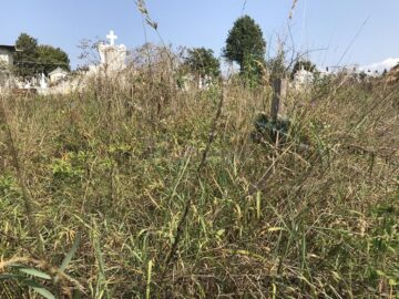 Cimitirul inocenților, cu sutele de victime ale „Orfelinatului Groazei” din Siret, tăinuit sub bălării