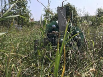 Cimitirul inocenților, cu sutele de victime ale „Orfelinatului Groazei” din Siret, tăinuit sub bălării