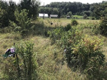 Cimitirul inocenților, cu sutele de victime ale „Orfelinatului Groazei” din Siret, tăinuit sub bălării