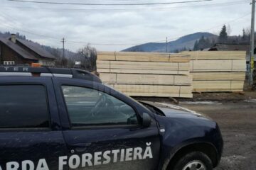 Peste două sute de controale au vizat activitatea de pază a pădurii sau activitatea de recoltare, prelucrare și transport a materialelor lemnoase