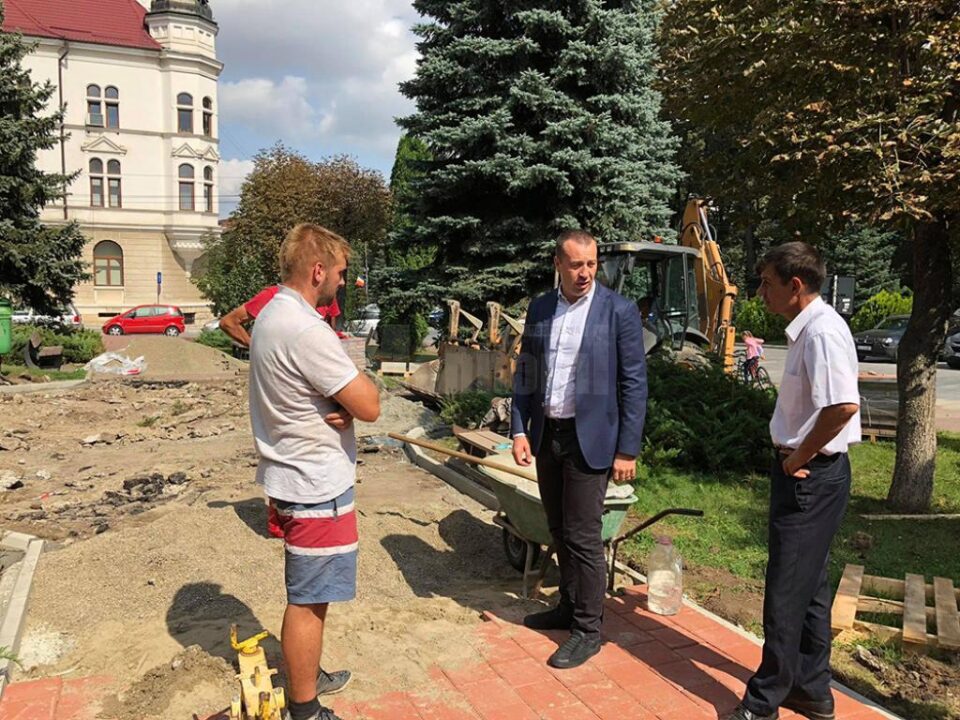 Amenajări peisagistice pe strada Vasile Bumbac, recent modernizată