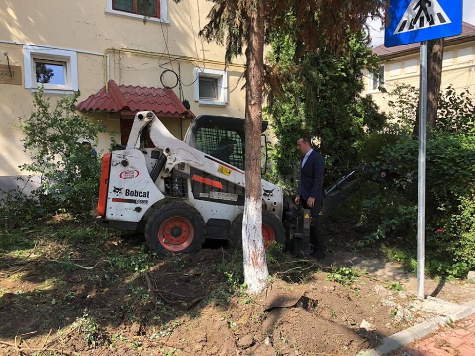 Amenajări peisagistice pe strada Vasile Bumbac, recent modernizată