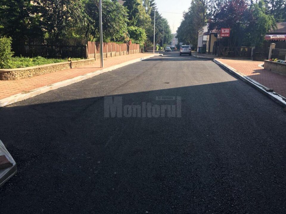 Amenajări peisagistice pe strada Vasile Bumbac, recent modernizată