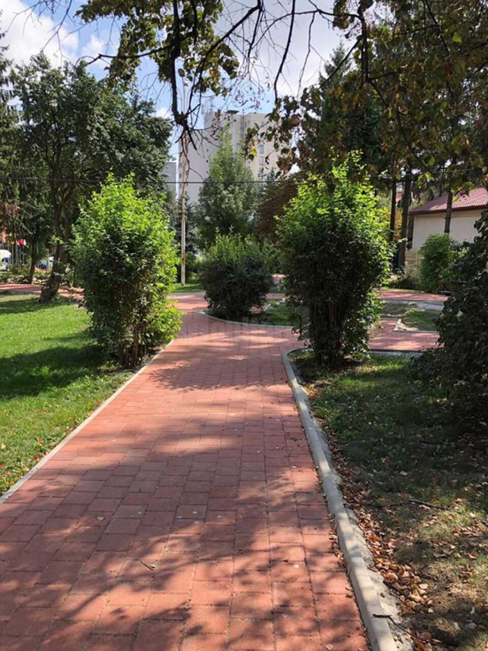 Amenajări peisagistice pe strada Vasile Bumbac, recent modernizată