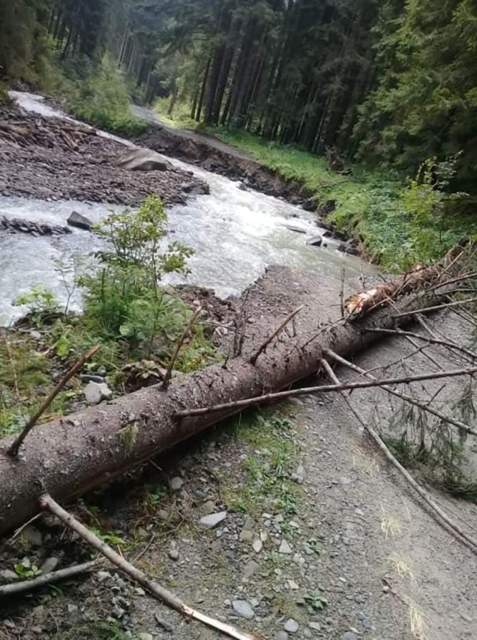 Locuitorii unui cătun din Brodina au stat izolați timp de o săptămână
