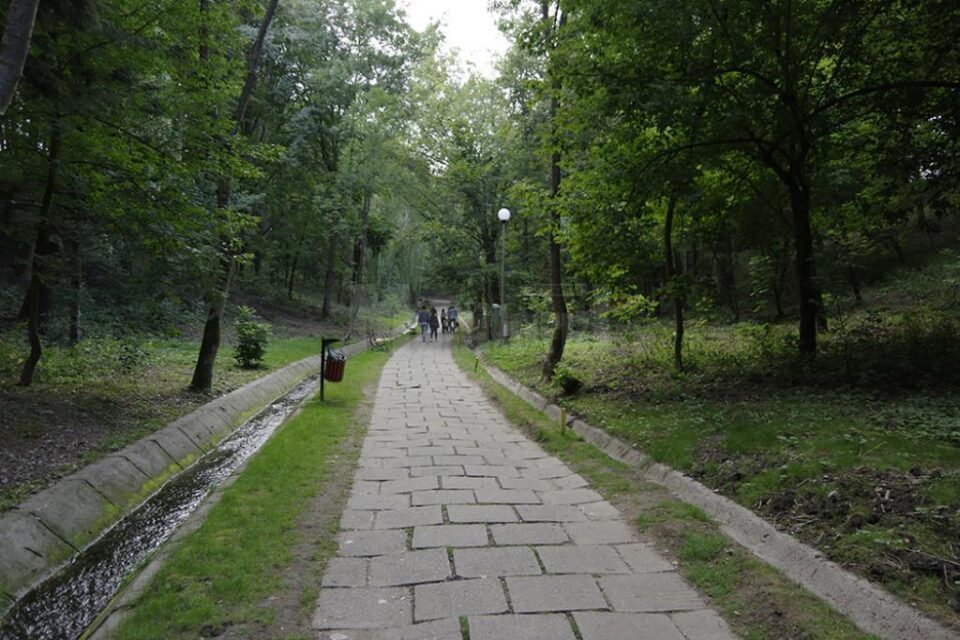 Parcul Șipote