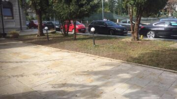 Tufele de buxus din zona centrală a Sucevei, atacate de larve