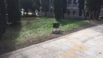 Tufele de buxus din zona centrală a Sucevei, atacate de larve