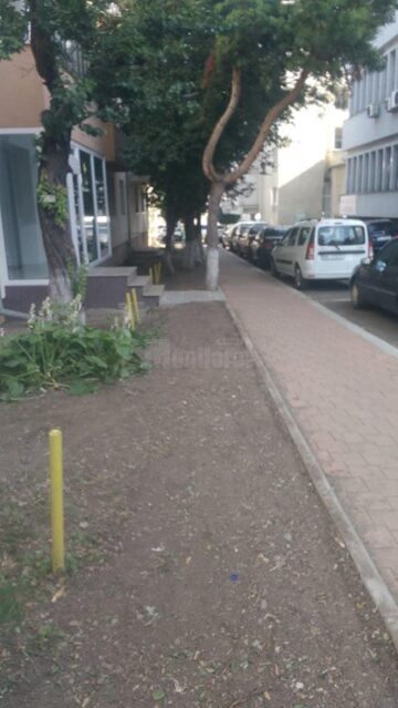 Gardul viu din zona centrală a orașului a fost scos