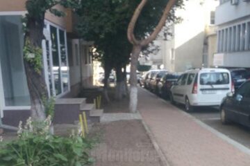 Gardul viu din zona centrală a orașului a fost scos