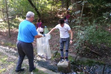 Primarul Ion Lungu, la curățenie în parcul Șipote