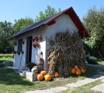 “Descoperă Valea Șomuzului - Turist în Dolhești”