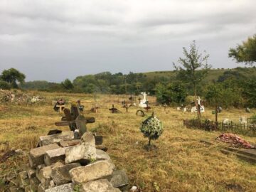 Cimitirul copiilor morți în „Orfelinatul groazei” din Siret, igienizat în urma unui articol din „Monitorul de Suceava”