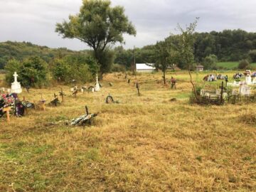 Cimitirul copiilor morți în „Orfelinatul groazei” din Siret, igienizat în urma unui articol din „Monitorul de Suceava”