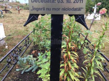 Biserica s-a ocupat de cosirea buruienilor și putinele cruci puse pentru copii au ieșit la iveală