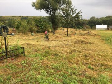 Cimitirul copiilor morți în „Orfelinatul groazei” din Siret, igienizat în urma unui articol din „Monitorul de Suceava”