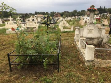 Cimitirul copiilor morți în „Orfelinatul groazei” din Siret, igienizat în urma unui articol din „Monitorul de Suceava”
