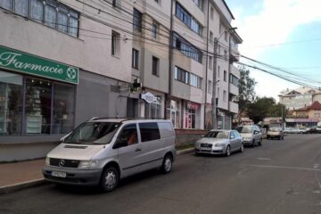 PSD Suceava critică faptul că pentru amenajarea unei parcări au fost tăiați mai mulți copaci
